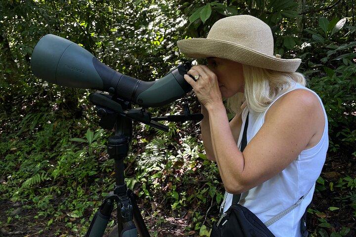 Esquipulas Rainforest - Private Birding - Fully Customizable Tour