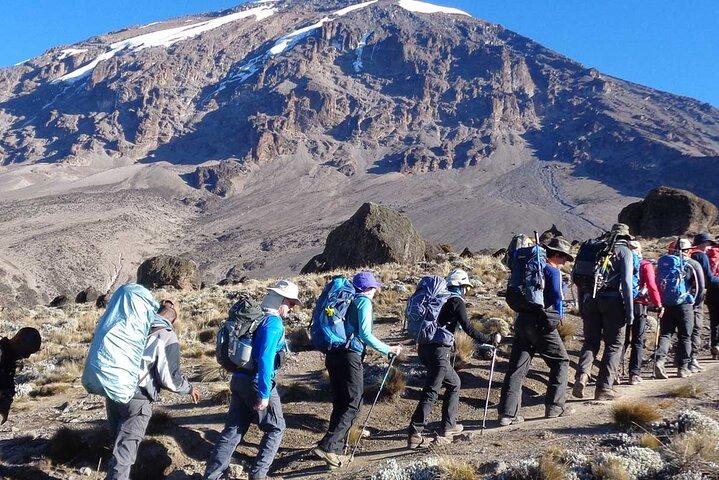 8-Day Mount Kilimanjaro via Lemosho Route Climb