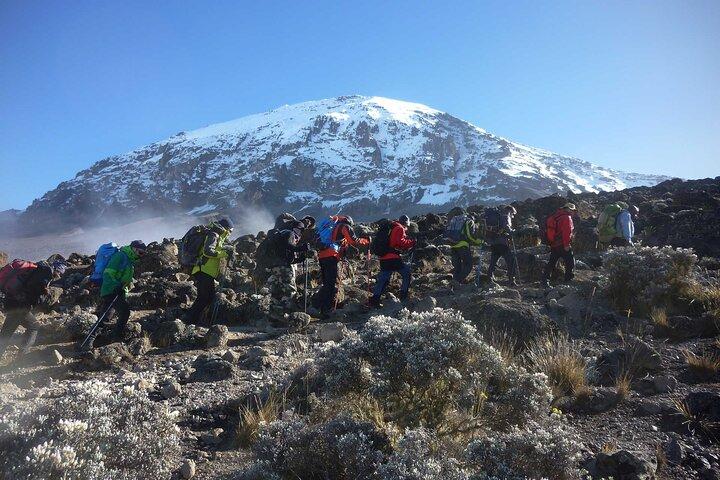 7 Days Climb Kilimanjaro via Machame Route