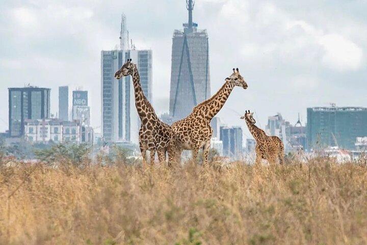 Nairobi National Park and Beads Factory Private Tour