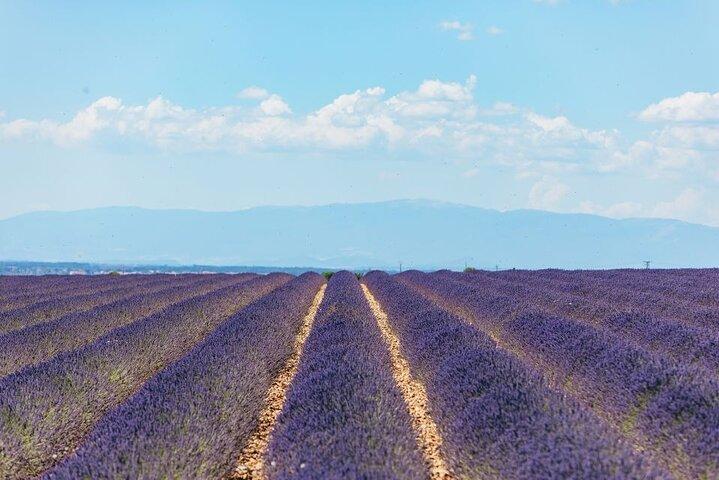 Private Tour of Gorges of Verdon and Fields of Lavender in Nice