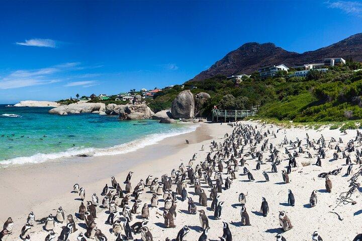 Full Day Private Cape Town and Peninsula Tour