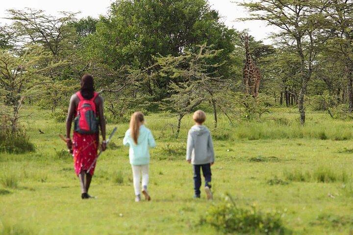 4 Days lodge safari Tarangire , Ngorongoro crater & Walking