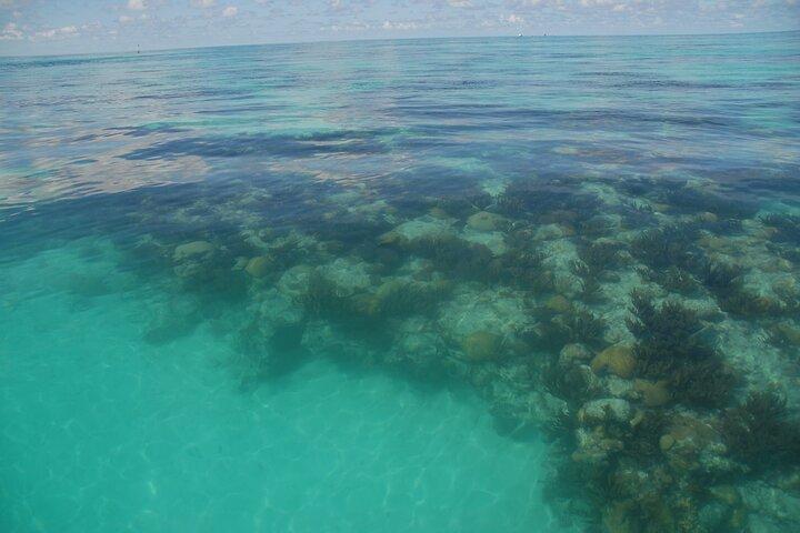 Glass Bottom Boat and Snorkeling Combo in Bermuda