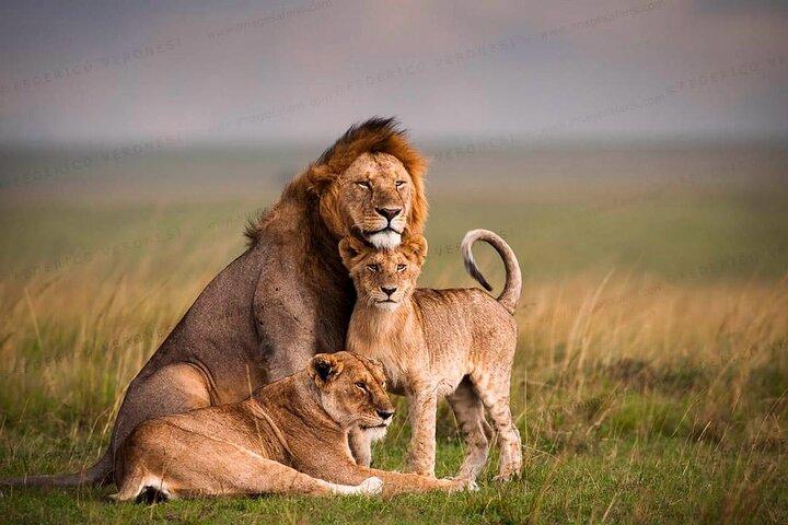 3 Days 2 Nights Masai Mara Tour