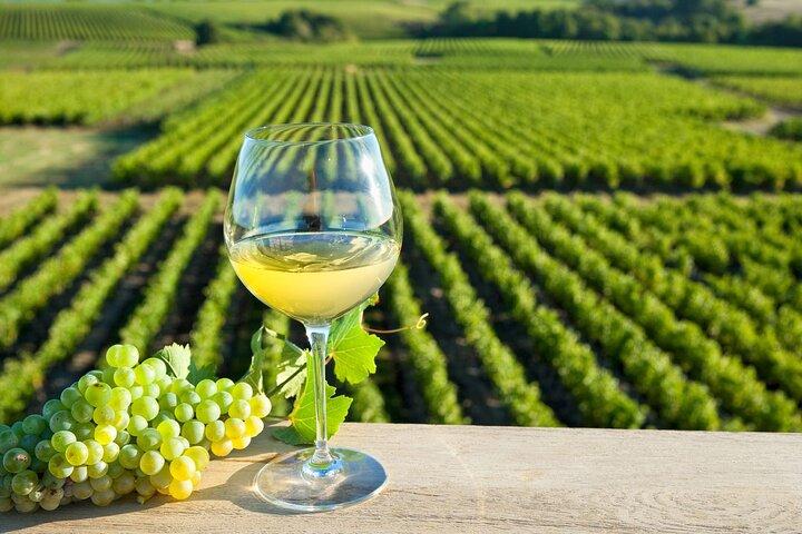Loire Valley Wine Region: Private Full Day Tour from Tours