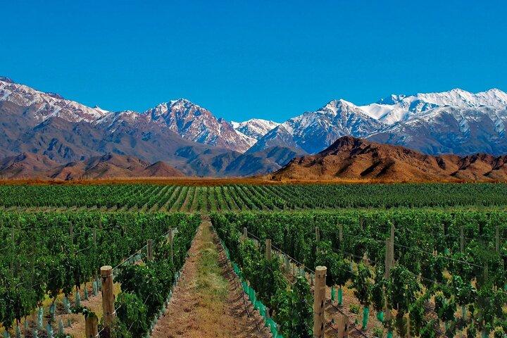 Full Day Private Guided Tour of Vinicolas de Mendoza