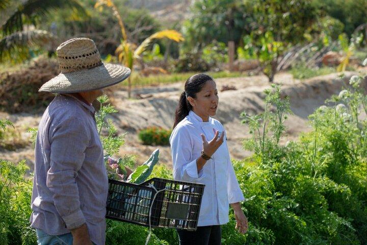 Cabo San Lucas Cooking Classes by Chef Ari