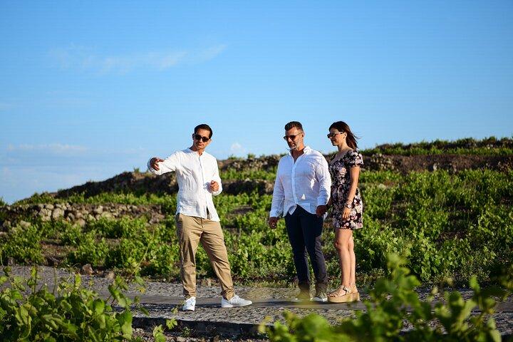 Premium Wine Tasting with Caldera Views