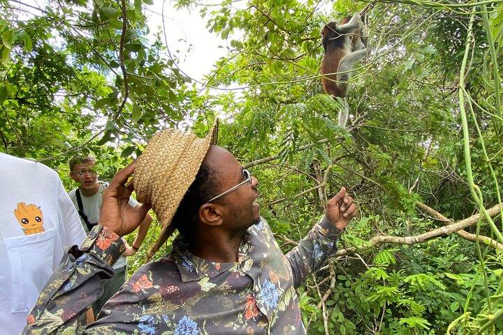 Jozani Forest Tour