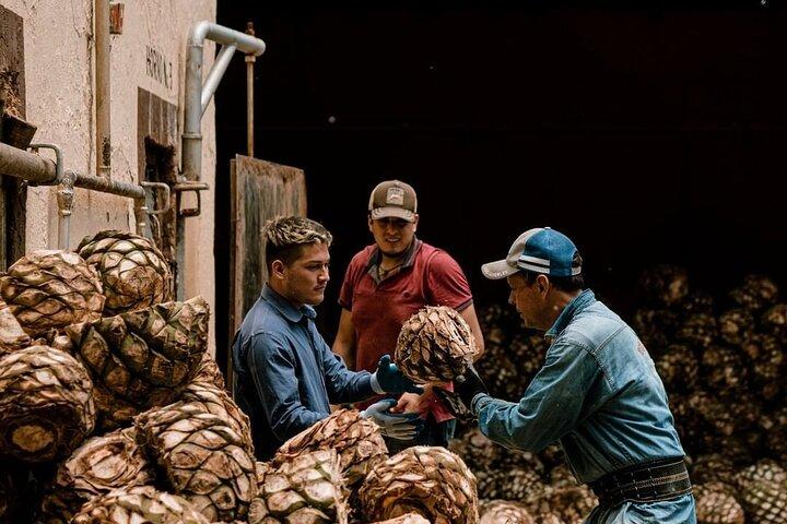 Private Tour Cascahuin Distillery and visit to Tequila