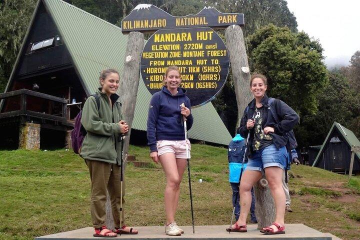 Mount Kilimanjaro National Park Day Trip