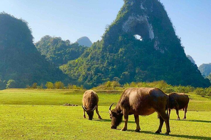 3-Day Explore Ba Be Lake and Ban Gioc Waterfall From Hanoi