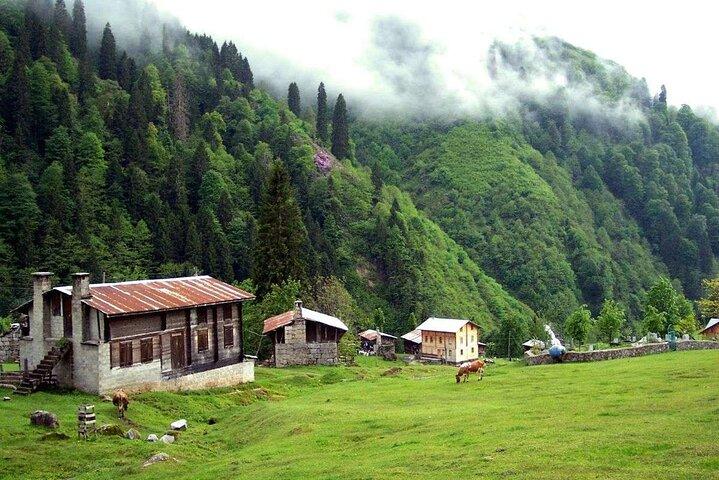 Ayder Tour with Fırtına Valley Adventure: Full-Day Experience