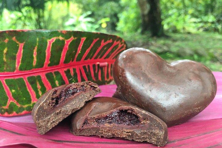 Chocolate: From tree to the bar, in Sierra Nevada de Santa Marta