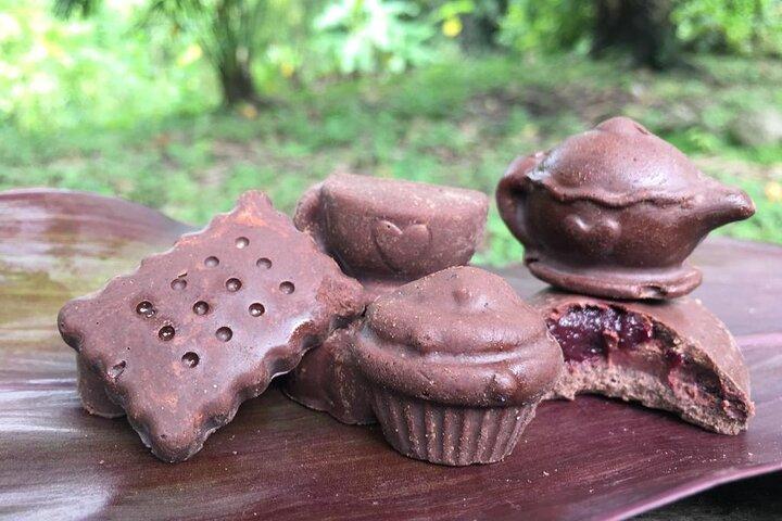 Chocolate: From tree to the bar, in Sierra Nevada de Santa Marta