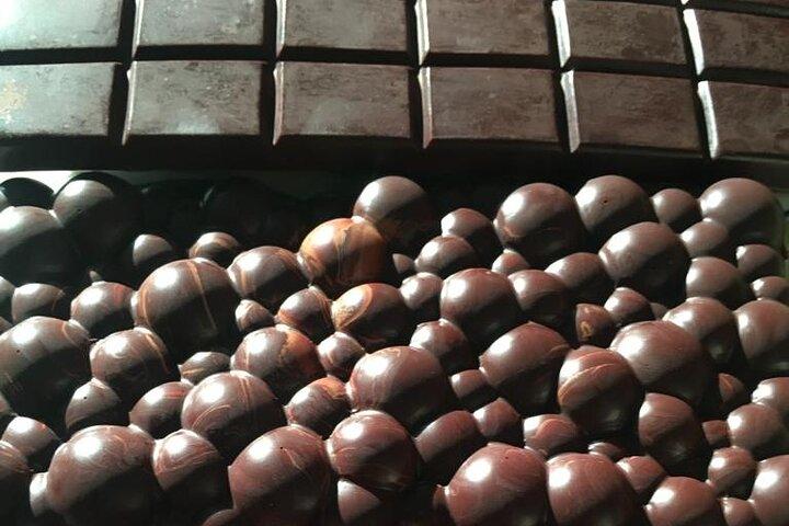 Chocolate: From tree to the bar, in Sierra Nevada de Santa Marta