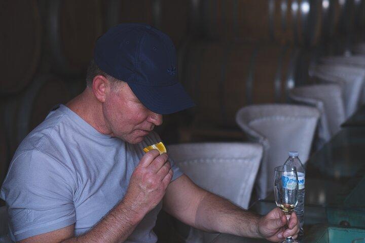 Tequila Day Trip