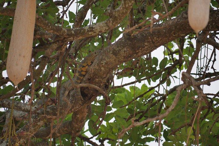 Private 5 Days Tanzania Safari