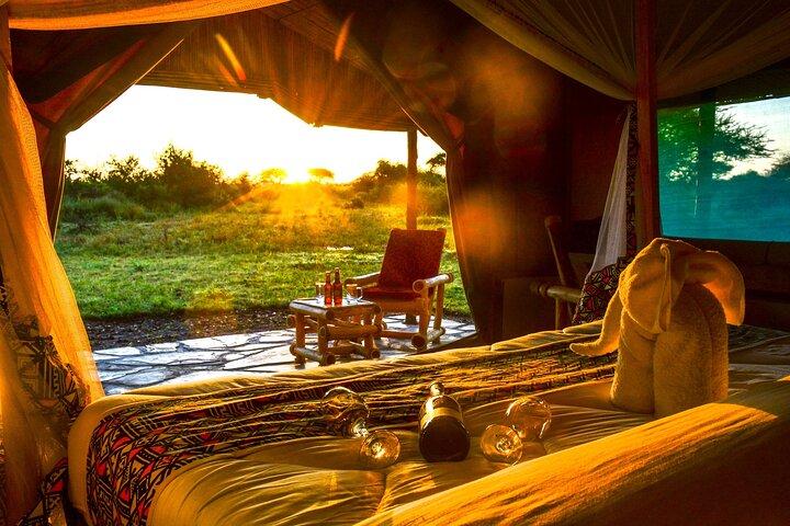 From Arusha: 11 days Lake Hopping Safari