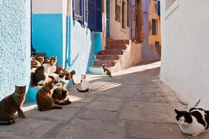 Boat Tickets - Day Trip to Nisyros Island