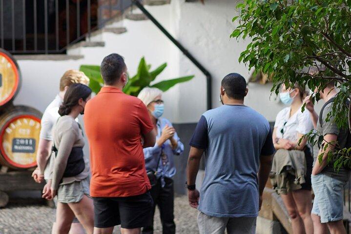 Full-Day Madeira Wine Tasting Tour with Lunch