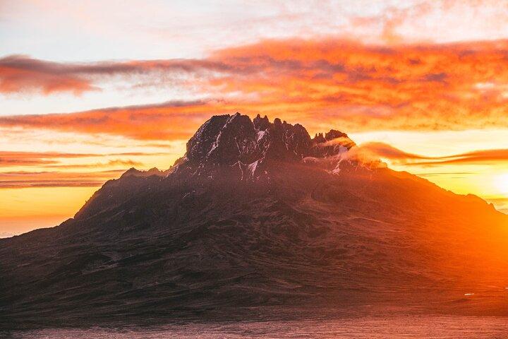 5 Days Private Kilimanjaro Hike through Marangu Route