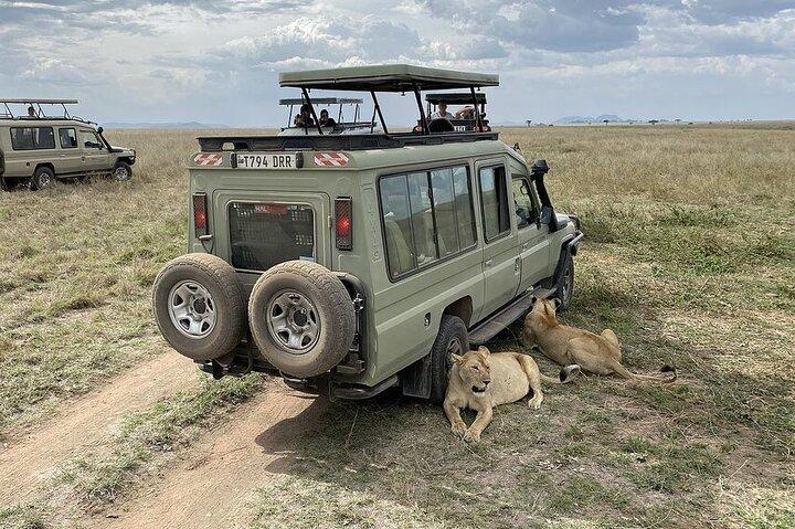 5 Days Budget Joining Adventure Camping Safari