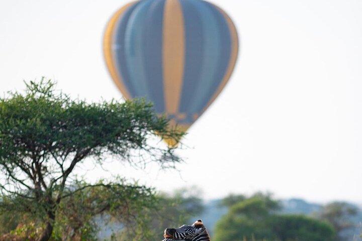 3 Days Taste of Tanzania Standard Safari