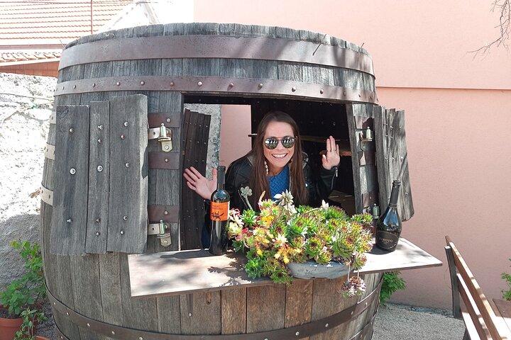 Krka Waterfalls & Wine and Cheese Tasting Tour from Split