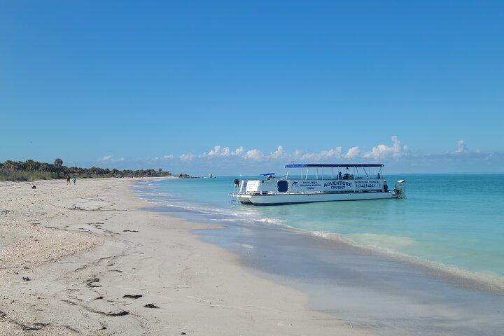 Dolphin /Shelling/Snorkeling tours Private Charters