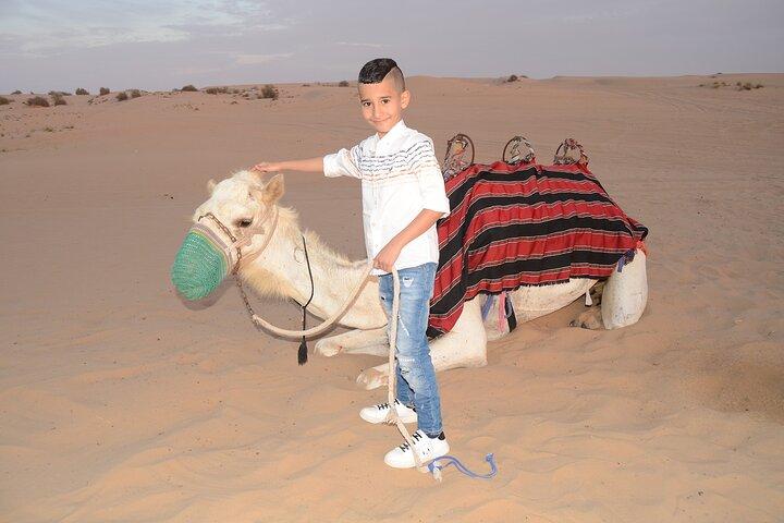 Camel Ride, Dune Bashing & Live Shows with BBQ Dinner in Dubai