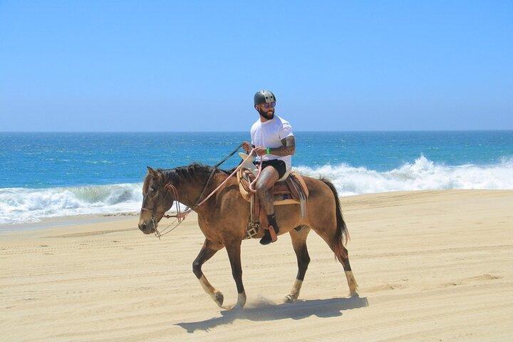 Create your COMBO: Choose 2 of the Best Tours in CABO