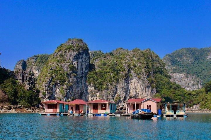 Ha Long Bay Day Cruise, Cave, Kayaking, Swimming, Bus & Lunch
