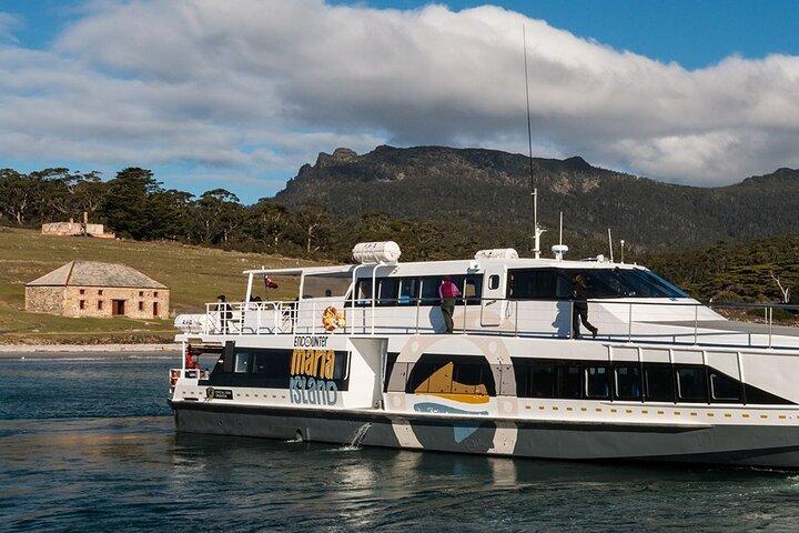 Hobart: Maria Island National Park, Nature & Wildlife active tour