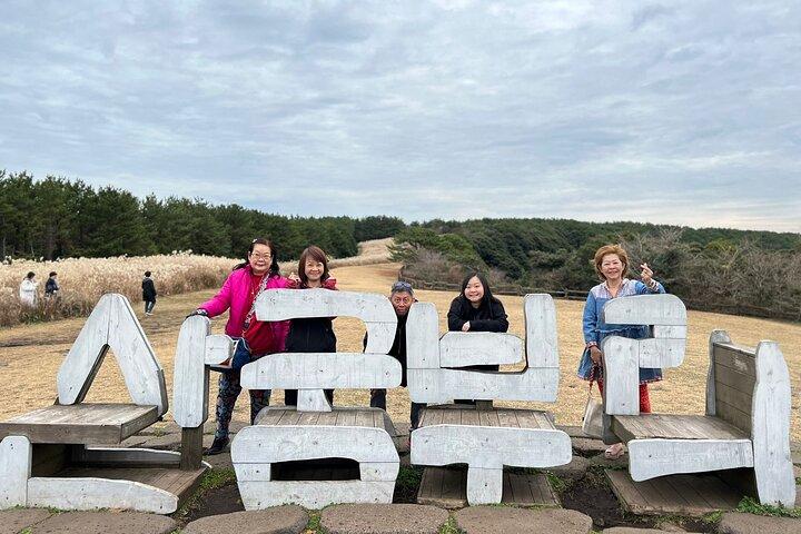 Jeju island private DAY Tour - South of Jeju