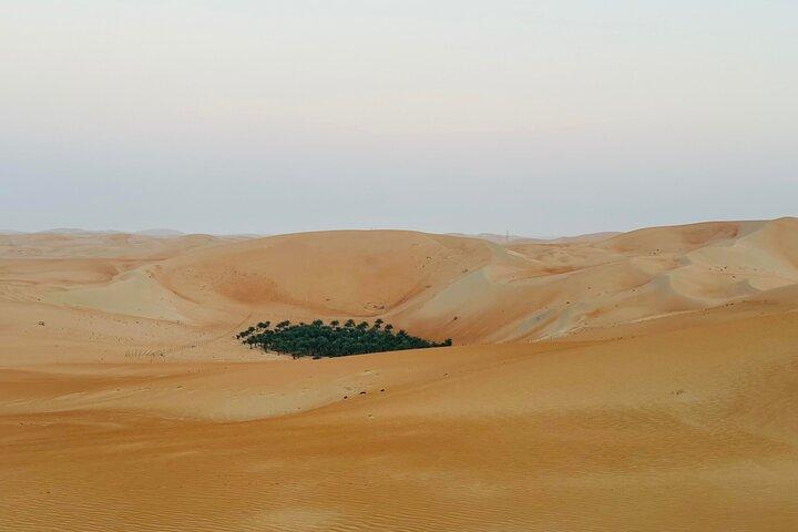 Liwa Full-Day Desert Safari Tour from Abu Dhabi – 4x4 Adventure