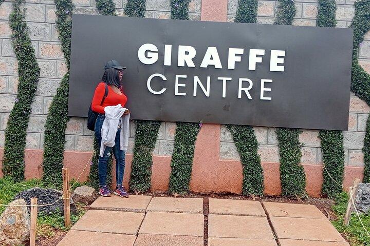 Half Day Nairobi National Park Guided Game Drive with Options