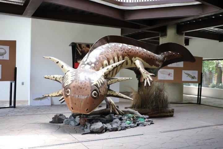 Xochimilco The island dolls and Axolotl museum from Mexico City
