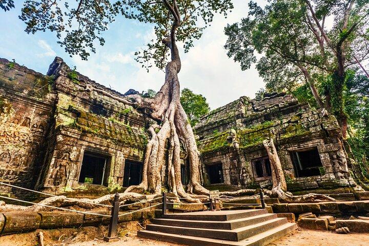 Angkor Wat, Ta Promh, Banteay Srei, Bayon temples Private Tour