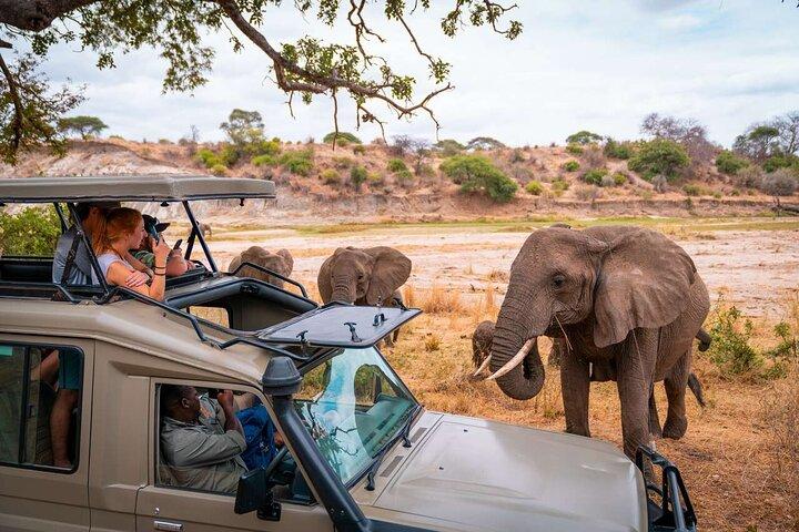 4 Days Ol Pejeta Aberdare and Solio Ranch Safari by 4x4 Jeep