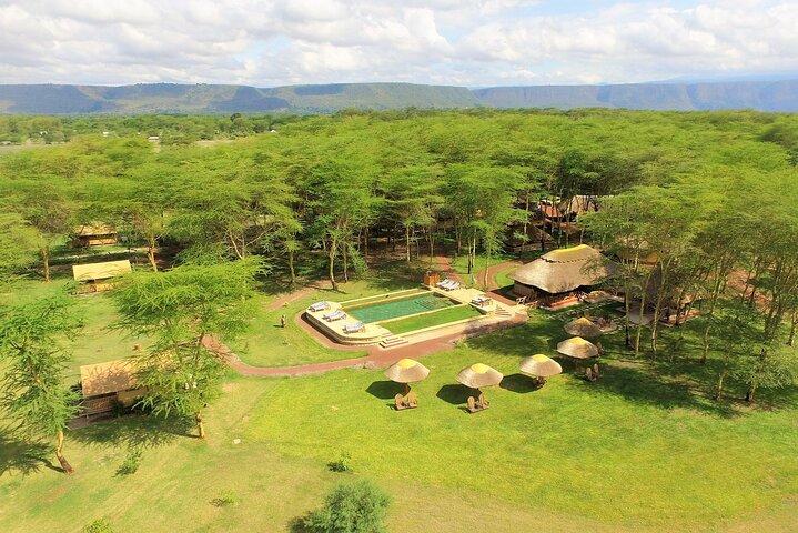 From Arusha: 11 days The Classics Northern Tanzania safari