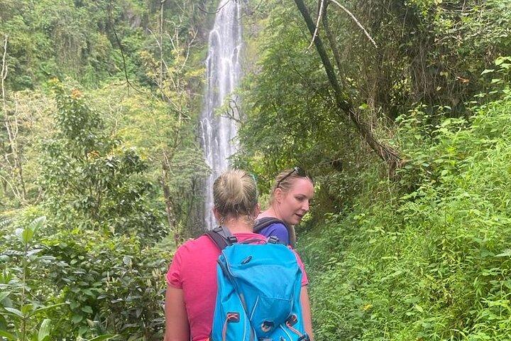 Swim to Materuni and Kikuletwa Hotspring