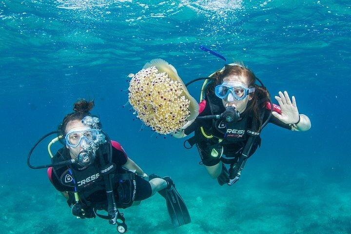 Crete-Chania: Snorkeling & Scuba Dive by boat with Free Transfer!