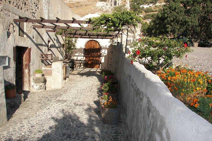 Vineyard Stories & Wine Tasting in Santorini