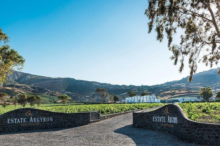 Vineyard Stories & Wine Tasting in Santorini
