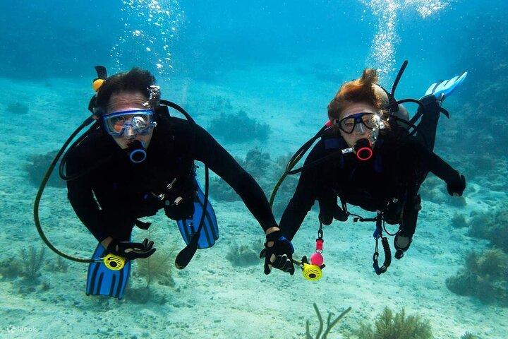 Scuba Diving Activity in Dubai with Hotel Pickup