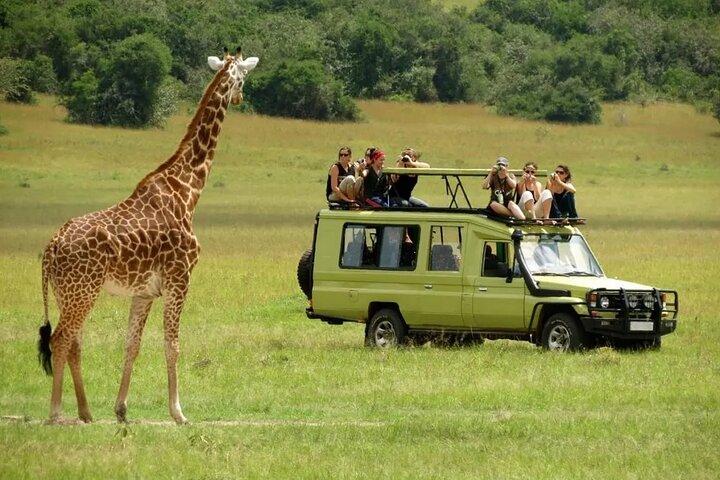 3 Days Safari Ngorongoro Crater and Serengeti National Park