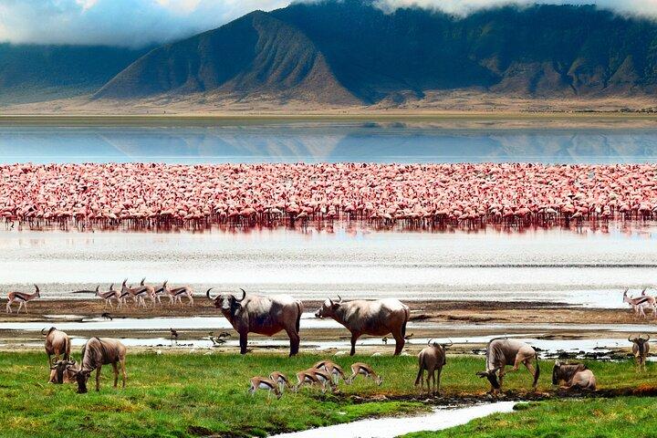 3 Days Tour to Tarangire, Ngorongoro and Materuni