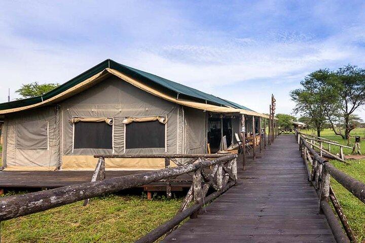 5 Days Adventure Safari Private Tour In Ngorongoro and Serengeti